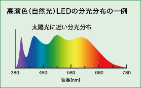 高演色（自然光）LEDの分光分布