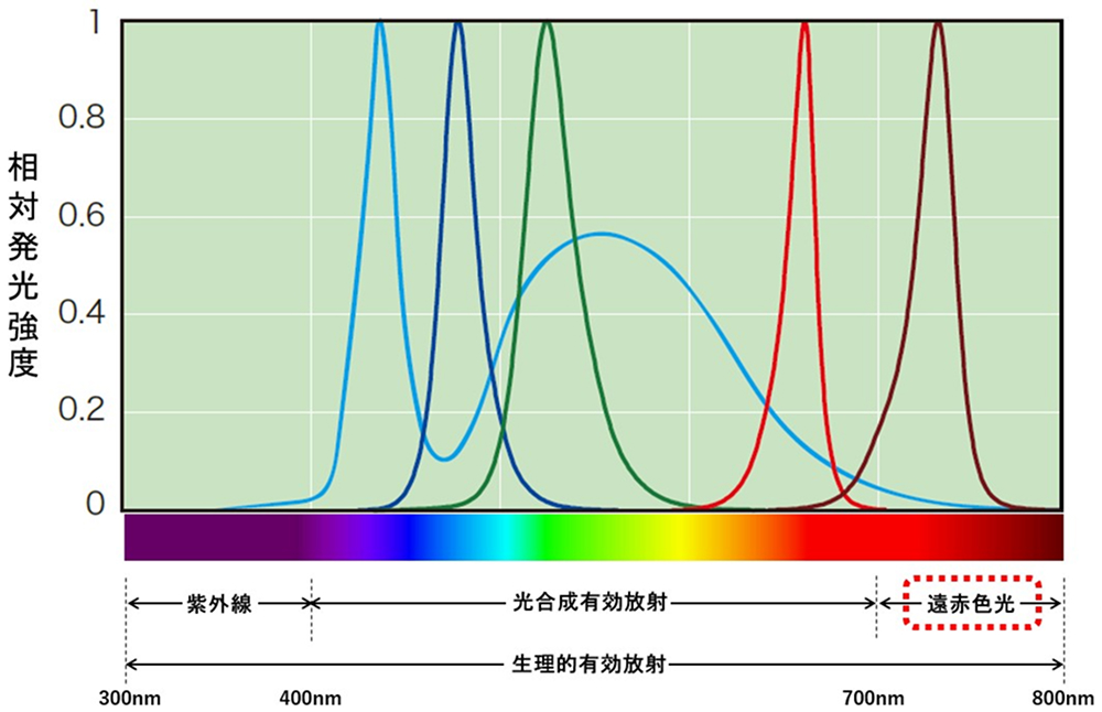 植物に影響する光の範囲と代表的な発光色のLEDのスペクトル