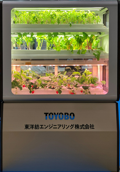 イチゴや葉物野菜が植わった水耕栽培棚のデモ展示