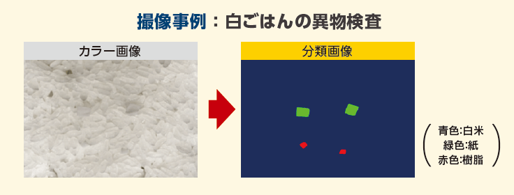 撮像事例 ：印刷紙の折れ・シワ検査