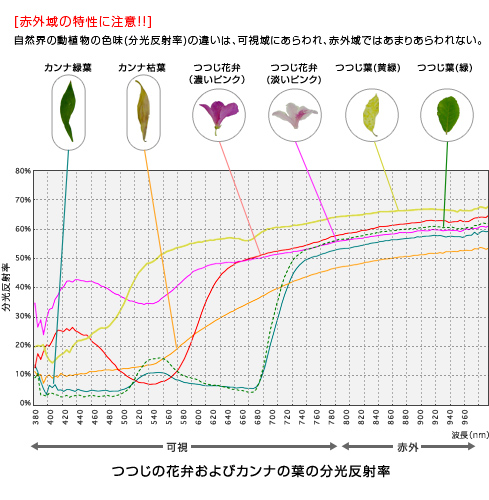つつじの花弁およびカンナの葉の分光反射率
