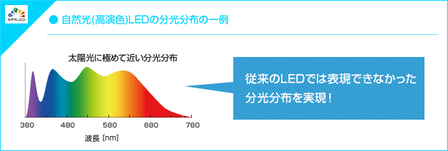 自然光(高演色)LEDの分光分布の一例