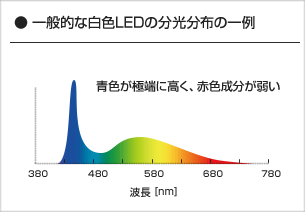  一般的な白色LEDの分光分布の一例