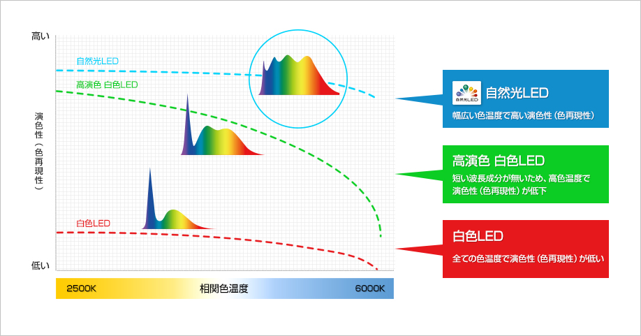 自然色LED,高演色（自然色LED）,白色LEDグラフ