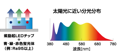 自然光LEDとは　太陽に近い分光分布