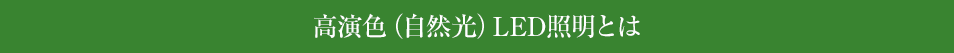 高演色（自然光）LED照明とは