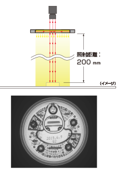 罐头食品/长驱为200mm