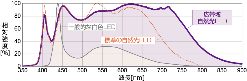 400～800nm付近まで広帯域な波長を含んだ光