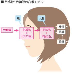 検査用LED照明トップシェアのCCS,画像処理の成功の鍵はLED照明,LED照明技術のコンサルティング
  
  光を科学し、社会に貢献する
