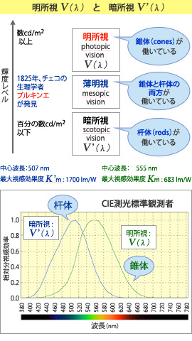 検査用LED照明トップシェアのCCS,画像処理の成功の鍵はLED照明,LED照明技術のコンサルティング
  
  光を科学し、社会に貢献する