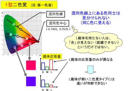 第15回 色 に対する 視覚 特性の要素 その2 Ccs シーシーエス株式会社 第15回 色 に対する 視覚 特性の要素 その2 Ccs シーシーエス株式会社