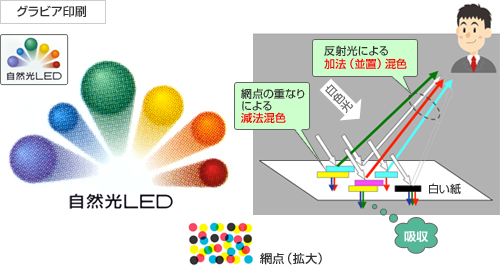 第18回 混色（その3）｜CCS：シーシーエス株式会社