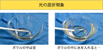 第19回 虹の色 Ccs シーシーエス株式会社 第19回 虹の色 Ccs シーシーエス株式会社