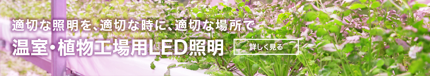 主營(yíng)FA自動(dòng)化、膠粘材料、油脂材料、機(jī)械設(shè)備、精密儀器、物流搬運(yùn)，工具等產(chǎn)品