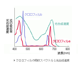 主營(yíng)FA自動(dòng)化、膠粘材料、油脂材料、機(jī)械設(shè)備、精密儀器、物流搬運(yùn)，工具等產(chǎn)品