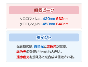 主营FA自动化、胶粘材料、油脂材料、机械设备、精密仪器、物流搬运，工具等产品