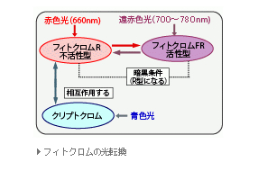 主營(yíng)FA自動(dòng)化、膠粘材料、油脂材料、機(jī)械設(shè)備、精密儀器、物流搬運(yùn)，工具等產(chǎn)品