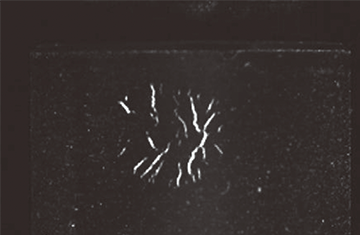 モノクロカメラによる磁粉探傷の撮像例