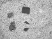 1650 nm