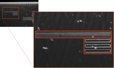 撮像例:サファイア基板（30 nmレーザー溝加工）微細な段差を可視化できている