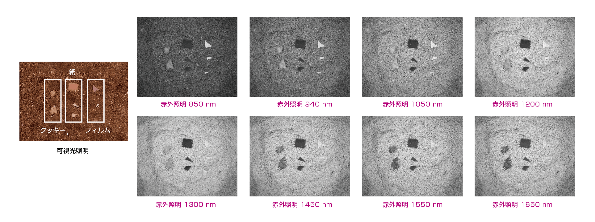 粉末コーヒー内の異物検査（サンプル）